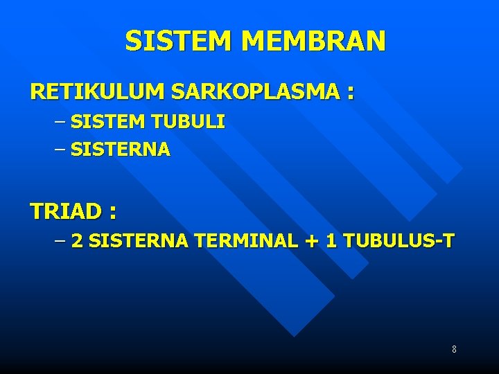 SISTEM MEMBRAN RETIKULUM SARKOPLASMA : – SISTEM TUBULI – SISTERNA TRIAD : – 2