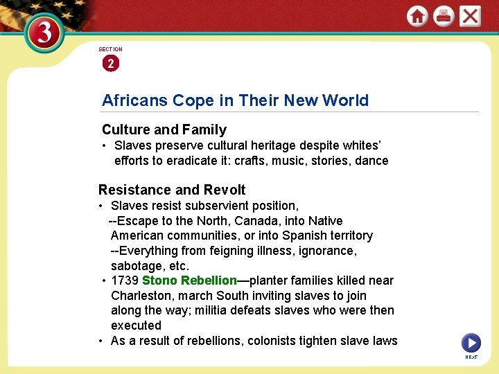 SECTION 2 Africans Cope in Their New World Culture and Family • Slaves preserve