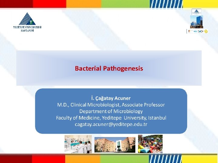 Bacterial Pathogenesis 