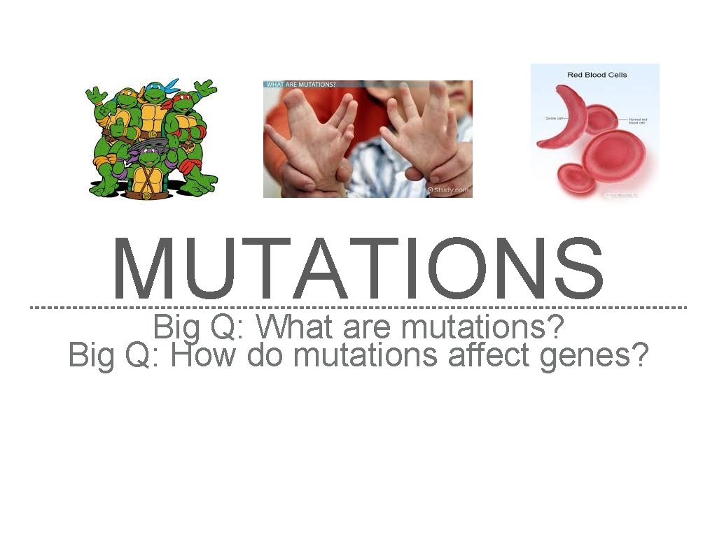 MUTATIONS Big Q: What are mutations? Big Q: How do mutations affect genes? 