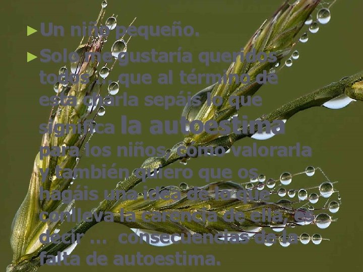 ►Un niño pequeño. ►Solo me gustaría queridos todos … que al término de esta