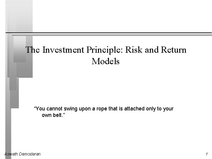 The Investment Principle: Risk and Return Models “You cannot swing upon a rope that