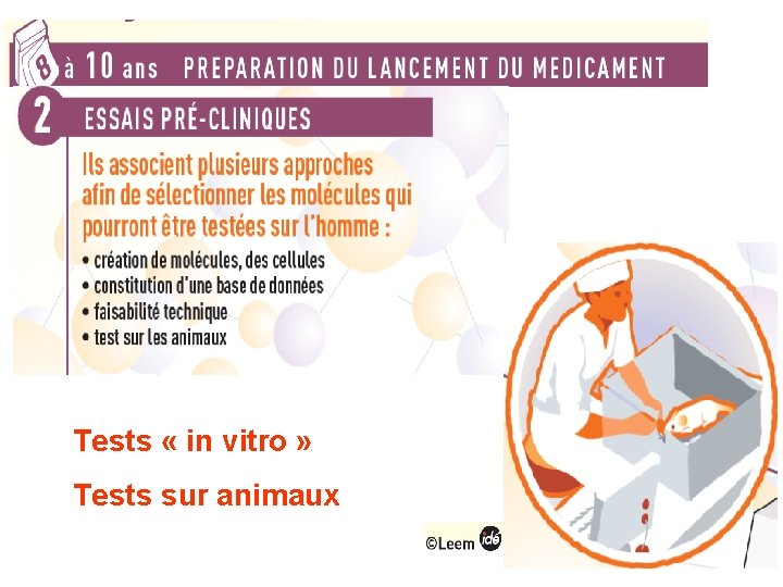 Tests « in vitro » Tests sur animaux 