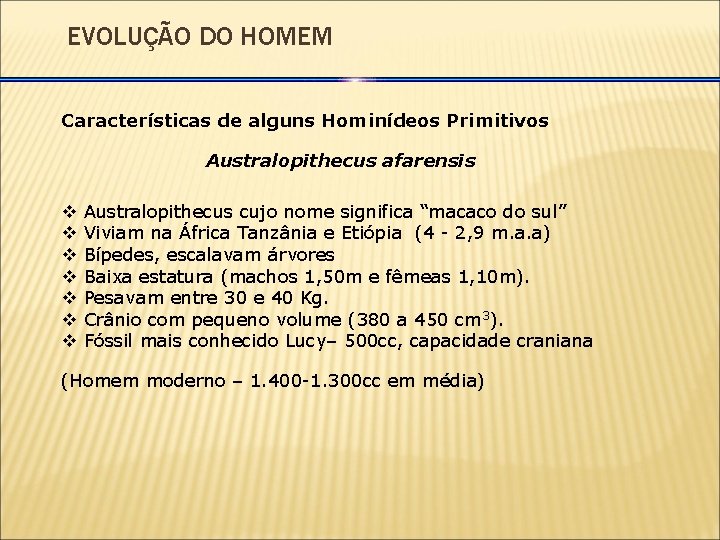 EVOLUÇÃO DO HOMEM Características de alguns Hominídeos Primitivos Australopithecus afarensis v v v v