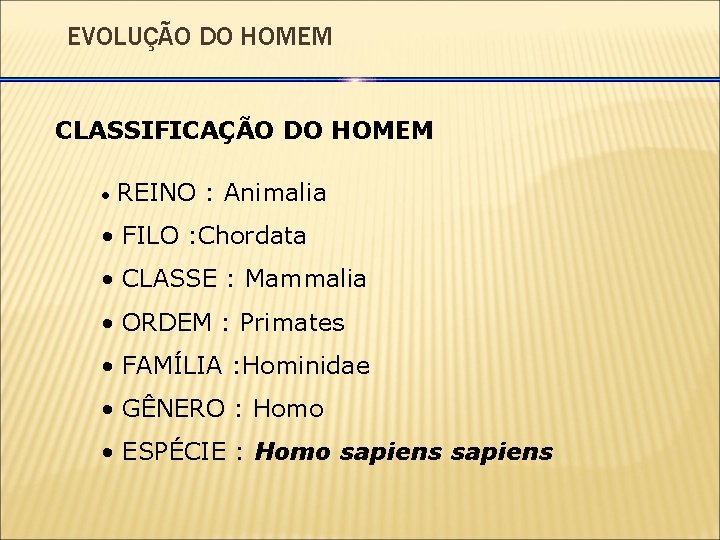 EVOLUÇÃO DO HOMEM CLASSIFICAÇÃO DO HOMEM • REINO : Animalia • FILO : Chordata