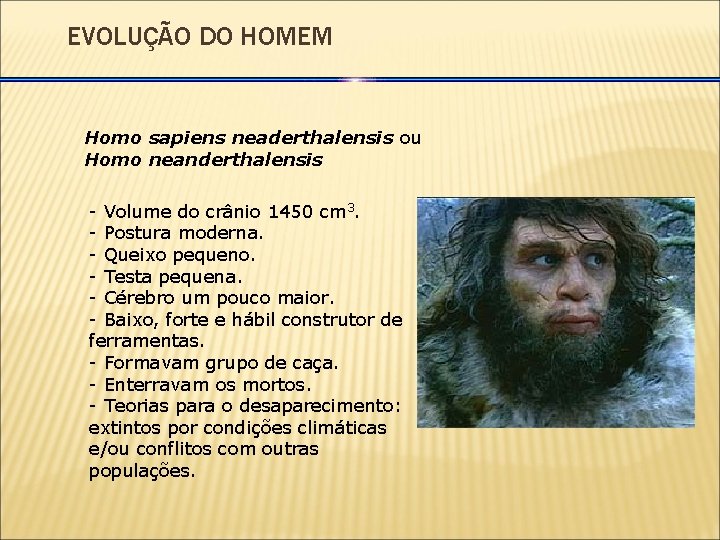 EVOLUÇÃO DO HOMEM Homo sapiens neaderthalensis ou Homo neanderthalensis - Volume do crânio 1450