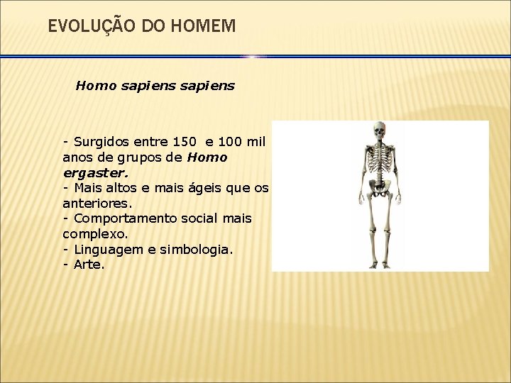 EVOLUÇÃO DO HOMEM Homo sapiens - Surgidos entre 150 e 100 mil anos de