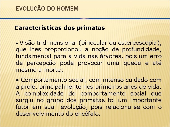 EVOLUÇÃO DO HOMEM Características dos primatas Visão tridimensional (binocular ou estereoscopia), que lhes proporcionou