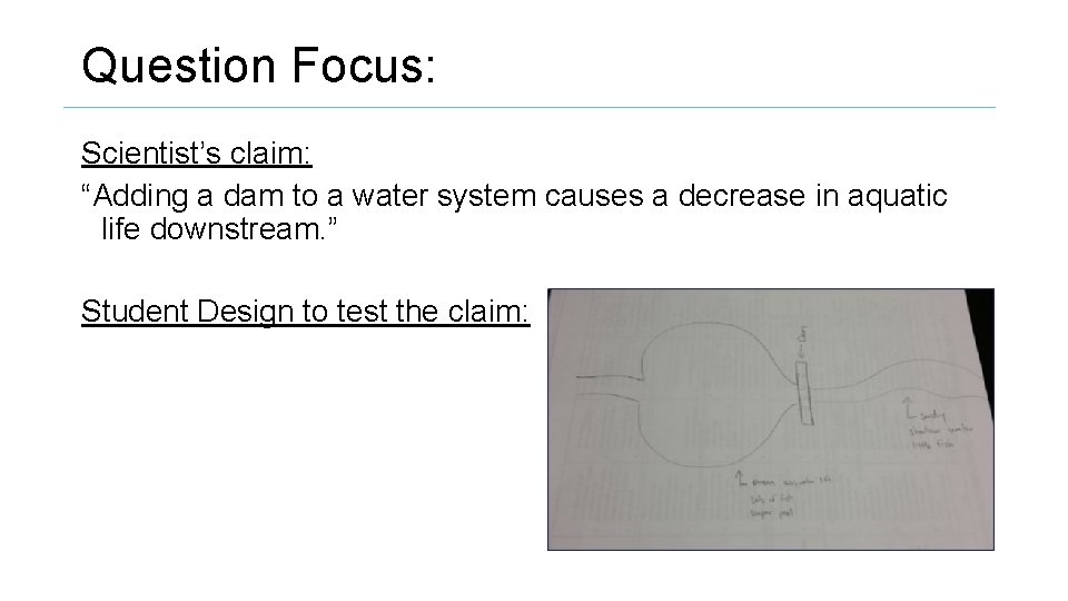 Question Focus: Scientist’s claim: “Adding a dam to a water system causes a decrease