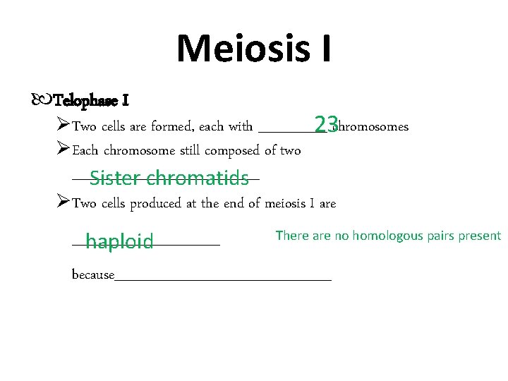 Meiosis I Telophase I Two cells are formed, each with _______ 23 chromosomes Each