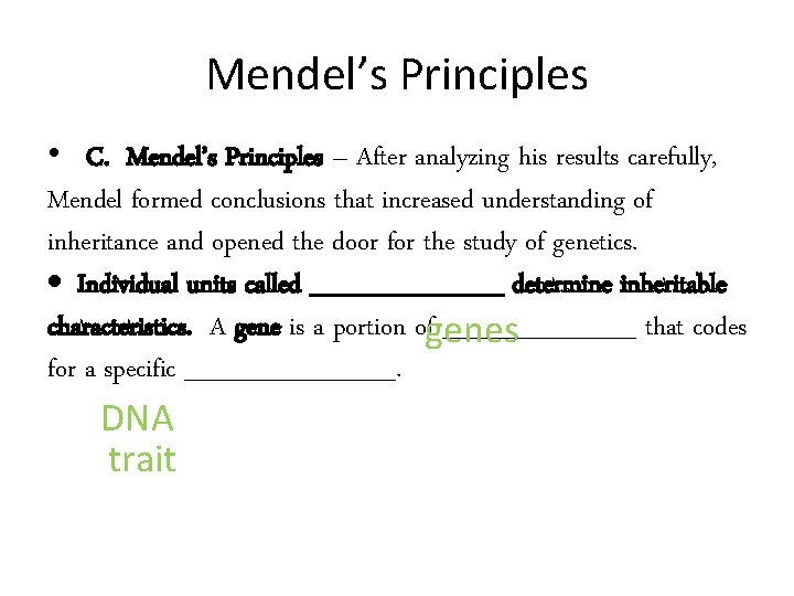 Mendel’s Principles • C. Mendel’s Principles – After analyzing his results carefully, Mendel formed