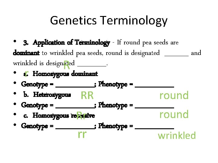 Genetics Terminology • 3. Application of Terminology - If round pea seeds are dominant