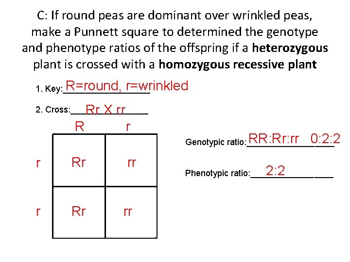 C: If round peas are dominant over wrinkled peas, make a Punnett square to