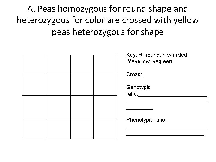 A. Peas homozygous for round shape and heterozygous for color are crossed with yellow