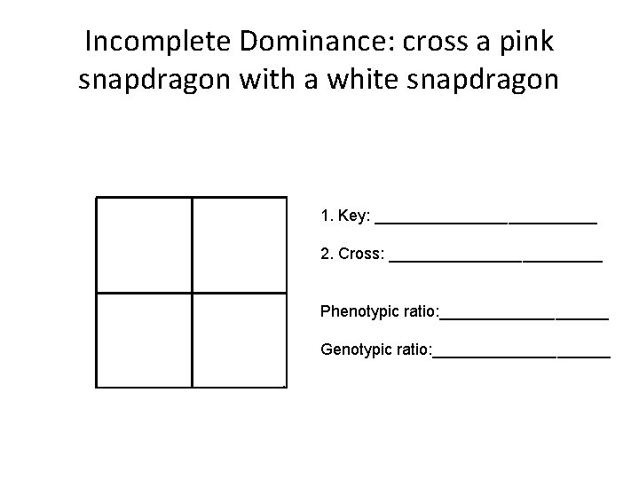 Incomplete Dominance: cross a pink snapdragon with a white snapdragon 1. Key: _____________ 2.