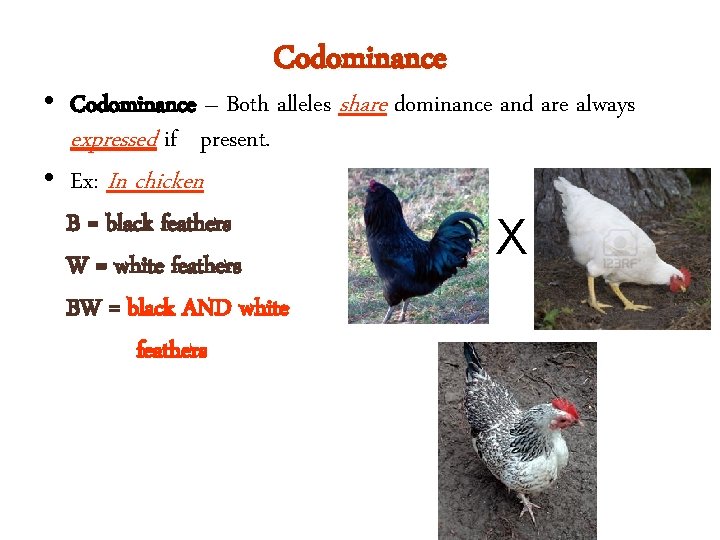 Codominance • Codominance – Both alleles share dominance and are always expressed if present.