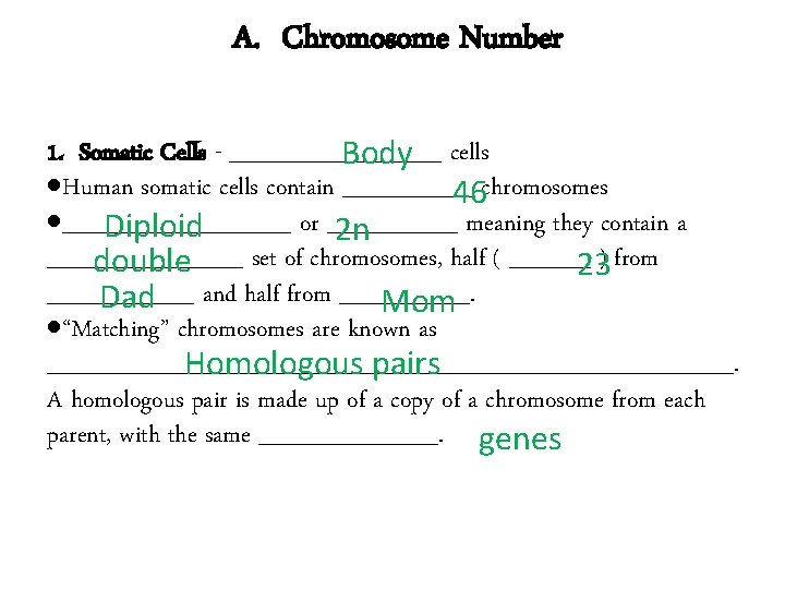 A. Chromosome Number 1. Somatic Cells - _______ Body cells Human somatic cells contain