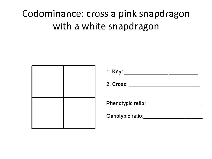 Codominance: cross a pink snapdragon with a white snapdragon 1. Key: _____________ 2. Cross: