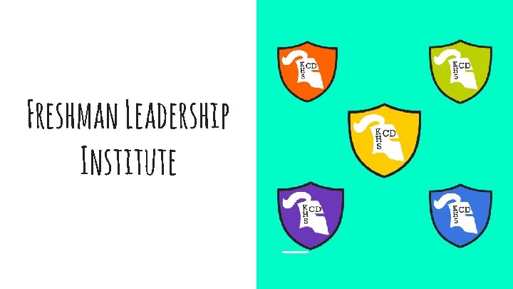 Freshman Leadership Institute 