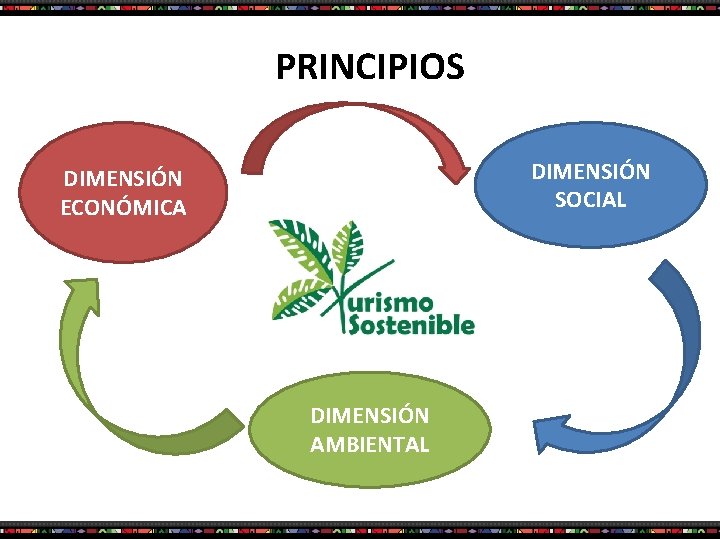 PRINCIPIOS DIMENSIÓN SOCIAL DIMENSIÓN ECONÓMICA DIMENSIÓN AMBIENTAL 