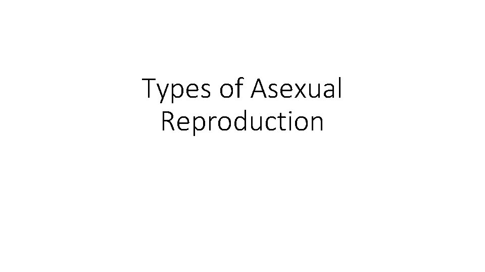 Types of Asexual Reproduction 