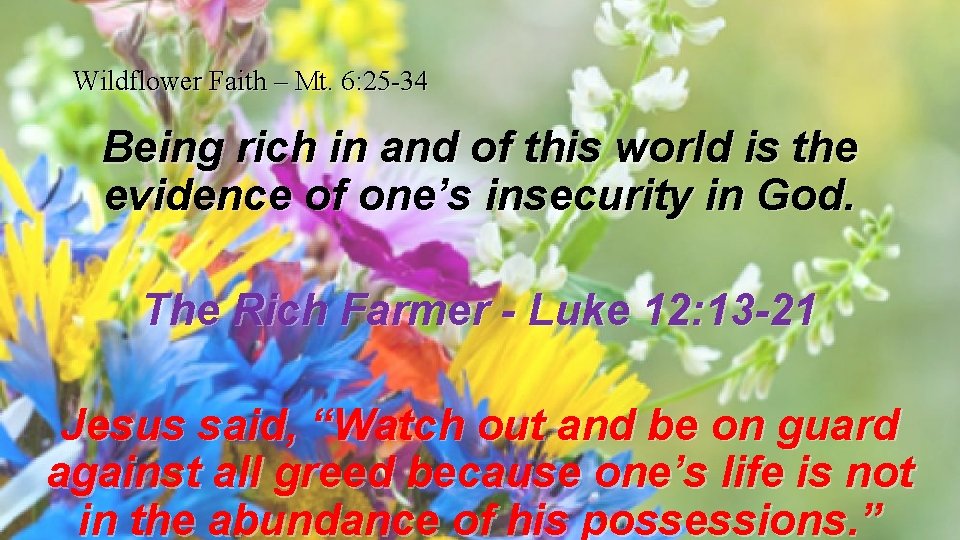 Wildflower Faith – Mt. 6: 25 -34 Being rich in and of this world