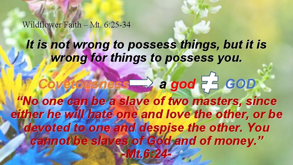 Wildflower Faith – Mt. 6: 25 -34 It is not wrong to possess things,