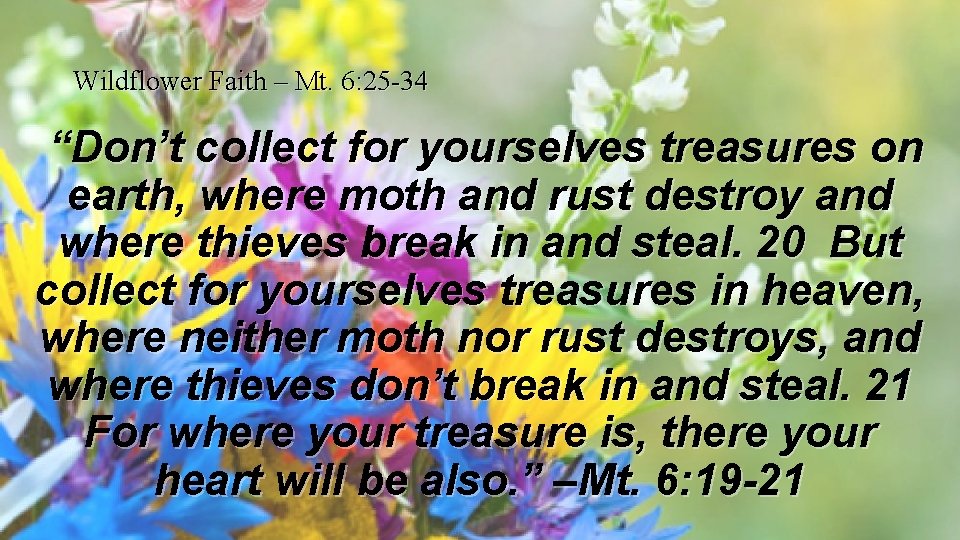 Wildflower Faith – Mt. 6: 25 -34 “Don’t collect for yourselves treasures on earth,