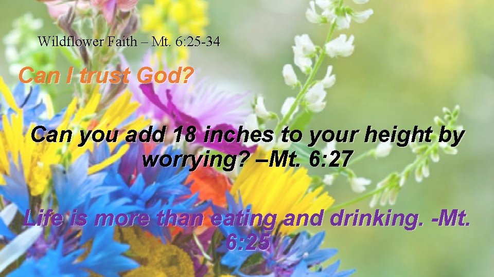 Wildflower Faith – Mt. 6: 25 -34 Can I trust God? Can you add