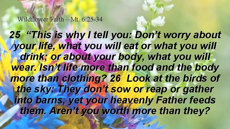 Wildflower Faith – Mt. 6: 25 -34 25 “This is why I tell you: