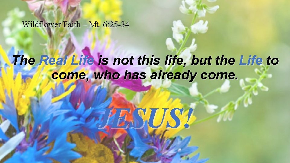 Wildflower Faith – Mt. 6: 25 -34 The Real Life is not this life,