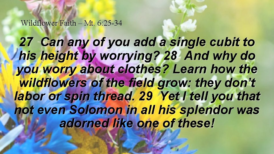 Wildflower Faith – Mt. 6: 25 -34 27 Can any of you add a