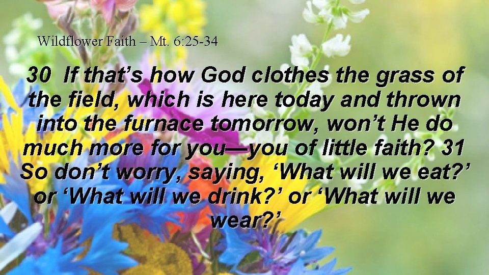 Wildflower Faith – Mt. 6: 25 -34 30 If that’s how God clothes the