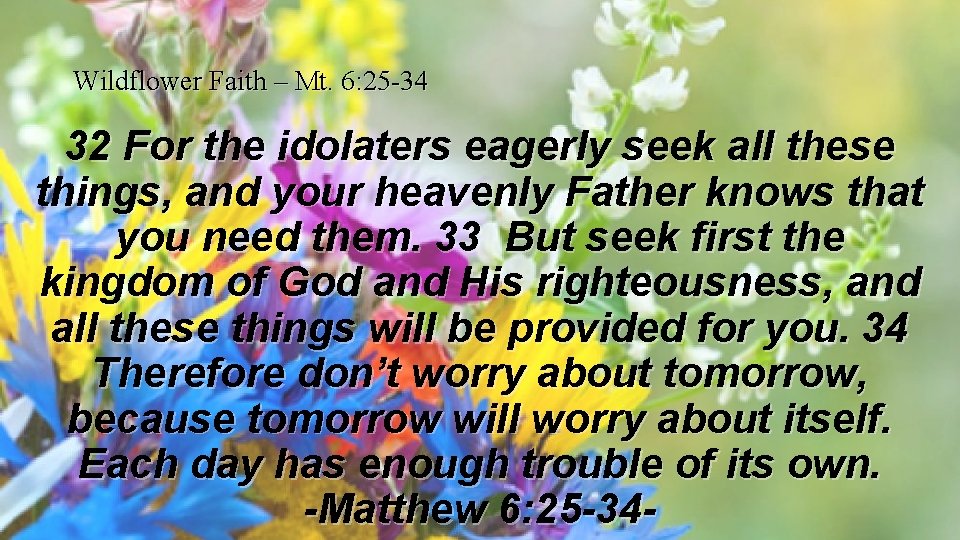 Wildflower Faith – Mt. 6: 25 -34 32 For the idolaters eagerly seek all