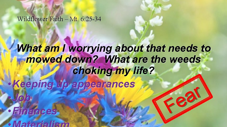 Wildflower Faith – Mt. 6: 25 -34 What am I worrying about that needs