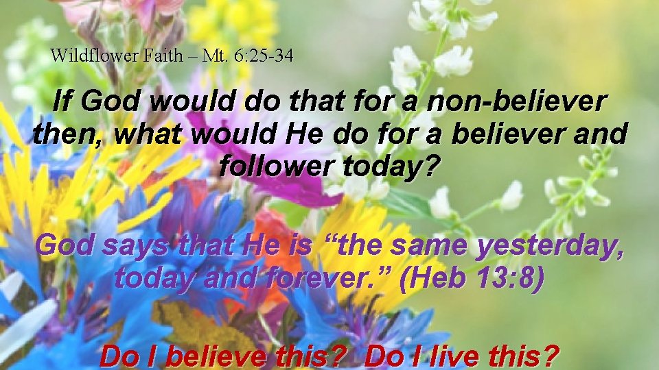 Wildflower Faith – Mt. 6: 25 -34 If God would do that for a