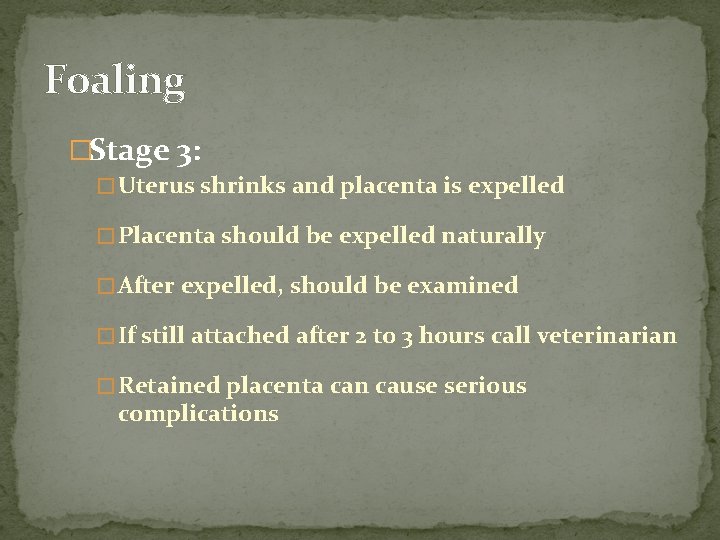 Foaling �Stage 3: � Uterus shrinks and placenta is expelled � Placenta should be