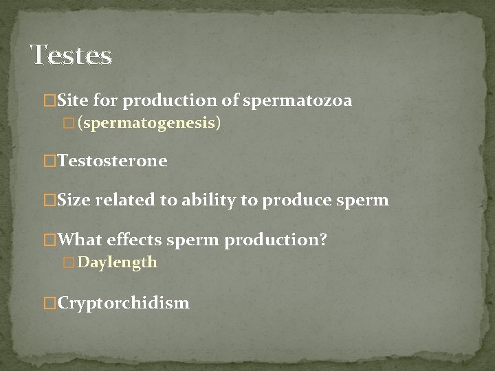 Testes �Site for production of spermatozoa � (spermatogenesis) �Testosterone �Size related to ability to