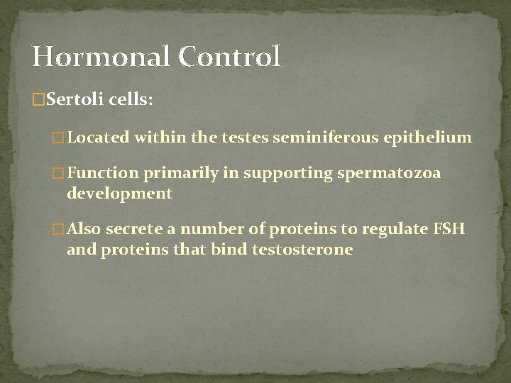 Hormonal Control �Sertoli cells: � Located within the testes seminiferous epithelium � Function primarily