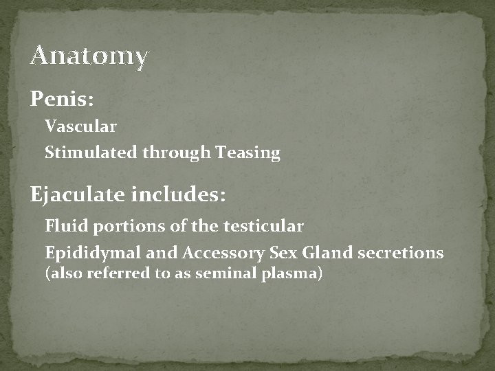 Anatomy Penis: Vascular Stimulated through Teasing Ejaculate includes: Fluid portions of the testicular Epididymal
