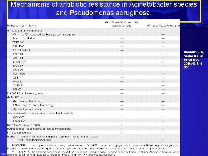 Mechanisms of antibiotic resistance in Acinetobacter species and Pseudomonas aeruginosa. Bonomo R A, Szabo