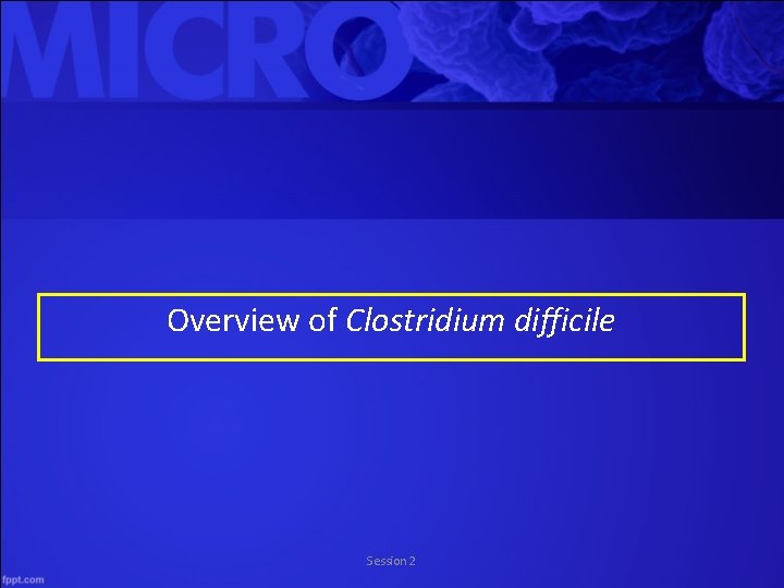 Overview of Clostridium difficile Session 2 