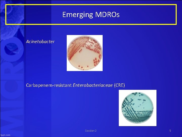 Emerging MDROs Acinetobacter Carbapenem-resistant Enterobacteriaceae (CRE) Session 2 5 