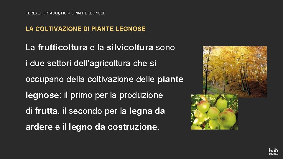 CEREALI, ORTAGGI, FIORI E PIANTE LEGNOSE LA COLTIVAZIONE DI PIANTE LEGNOSE La frutticoltura e