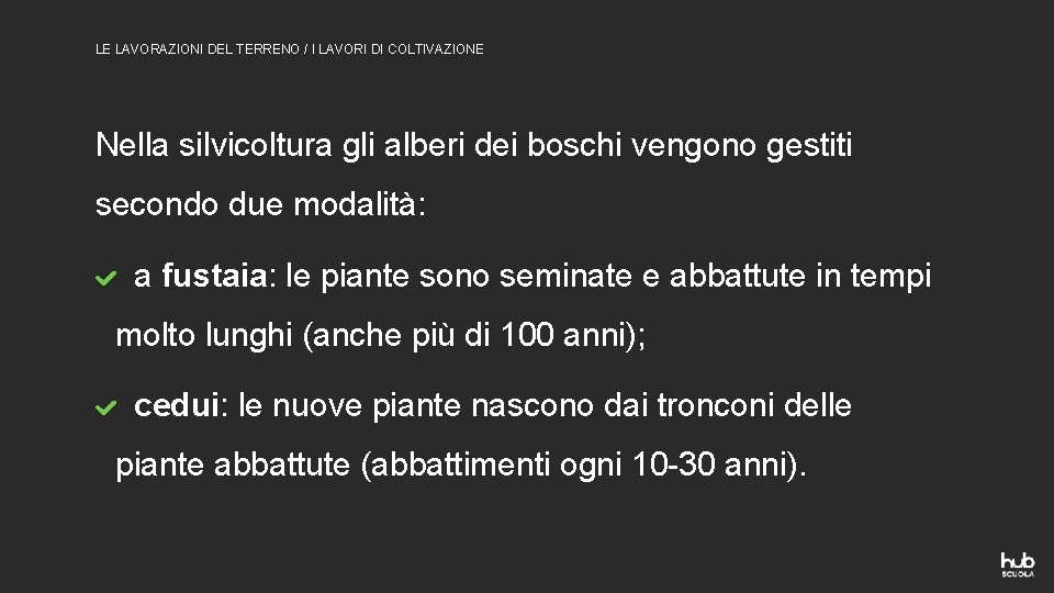 LE LAVORAZIONI DEL TERRENO / I LAVORI DI COLTIVAZIONE Nella silvicoltura gli alberi dei