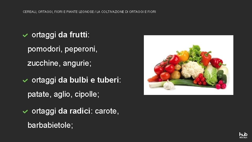 CEREALI, ORTAGGI, FIORI E PIANTE LEGNOSE / LA COLTIVAZIONE DI ORTAGGI E FIORI ortaggi