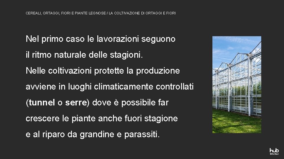 CEREALI, ORTAGGI, FIORI E PIANTE LEGNOSE / LA COLTIVAZIONE DI ORTAGGI E FIORI Nel