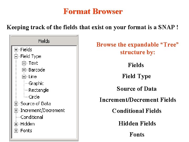 Format Browser Keeping track of the fields that exist on your format is a