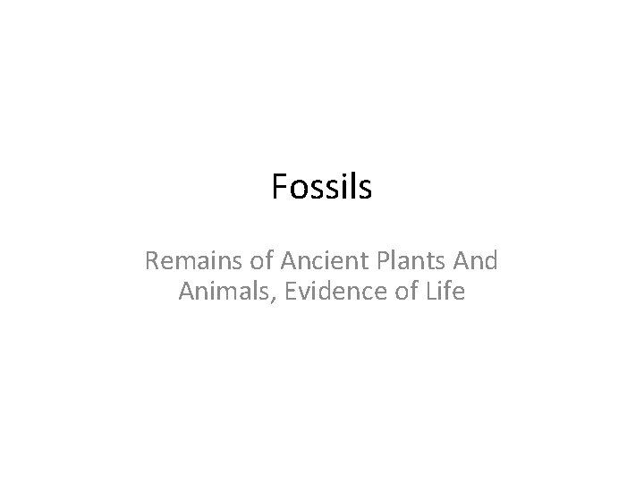 Fossils Remains of Ancient Plants And Animals, Evidence of Life 
