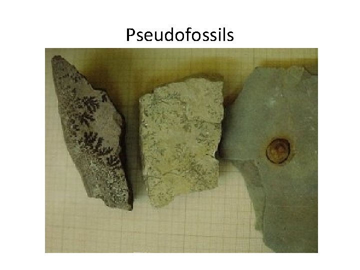 Pseudofossils 